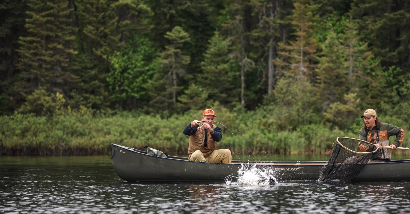 Species to Fish | Québec Outfitters | Quebec Outfitters