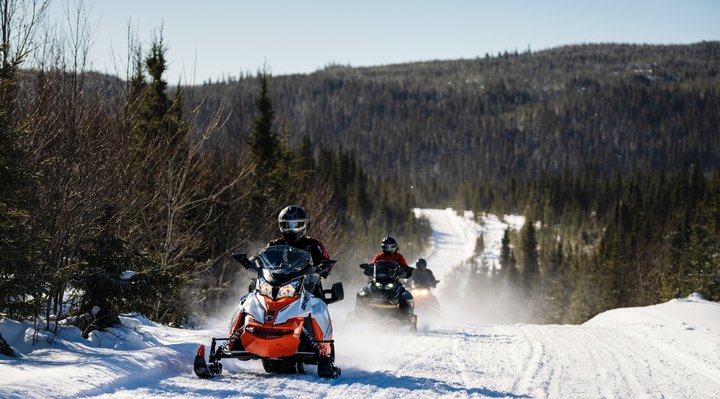 A group of snowmobilers