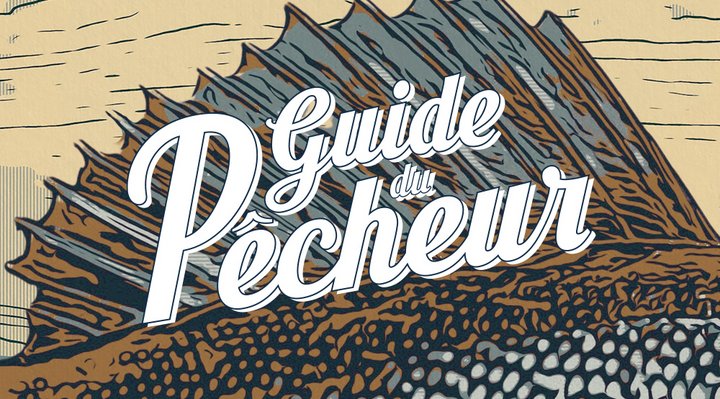 Illustration de nageoire de poisson pour entête du Guide du pêcheur