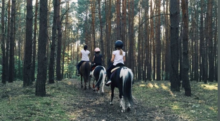 Horseback riding in the forest